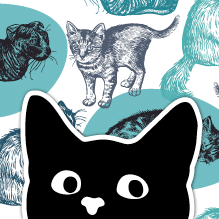 Illustration of a black cat with perked ears on a background of other kitties frolicking